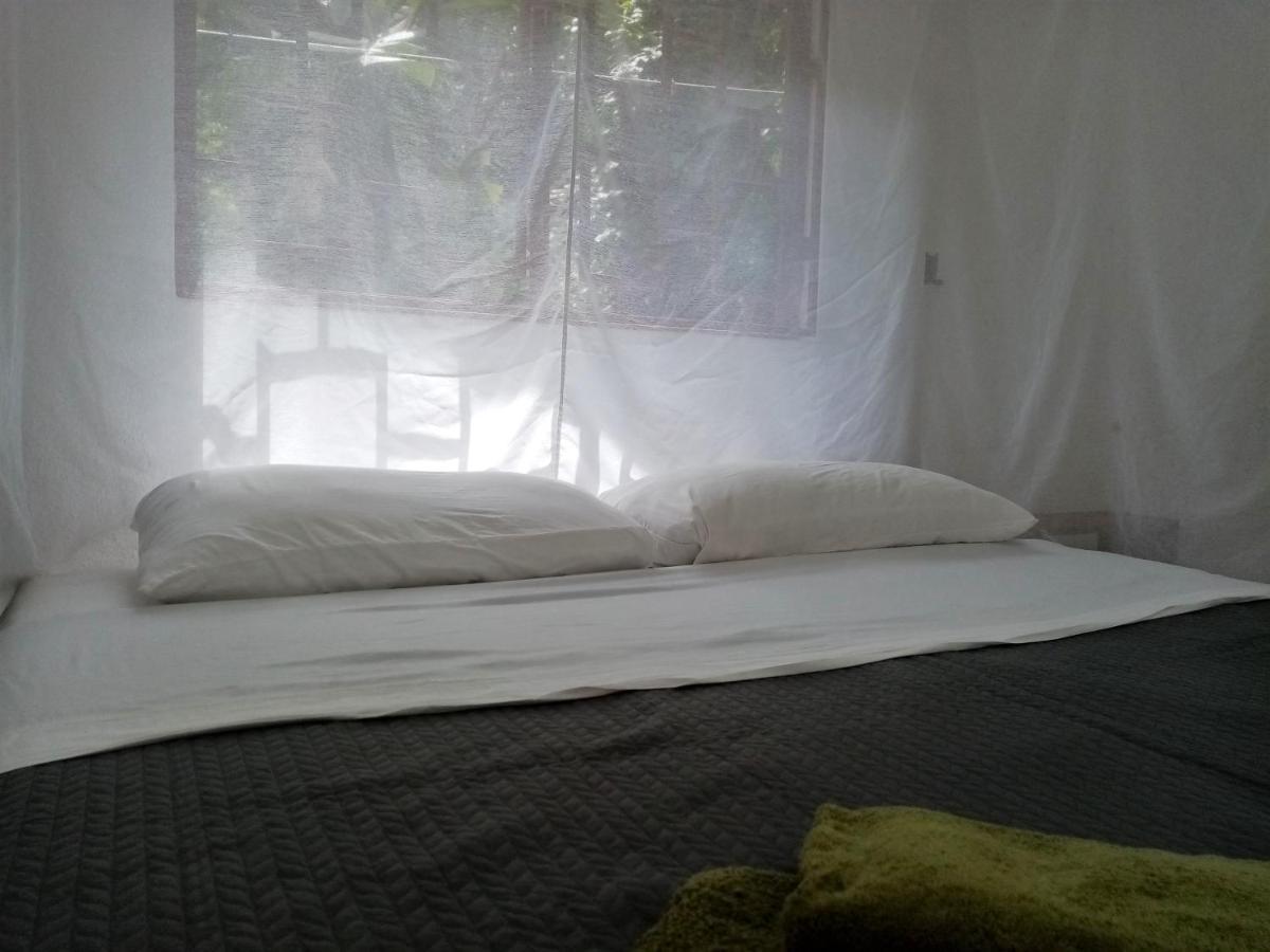 Bolita Trails And Lodging Dos Brazos Экстерьер фото